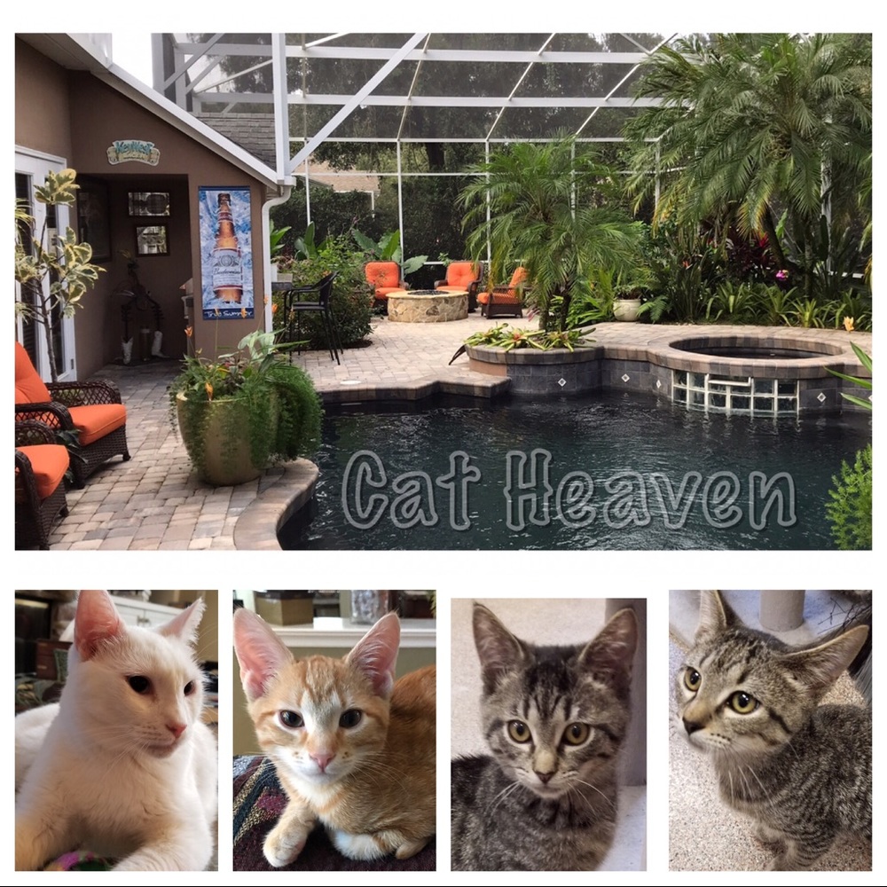 About Connie - Picture 6 of 6